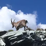 Casa Di Virgi * Champoluc