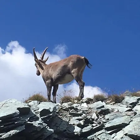 公寓 Casa Di Virgi