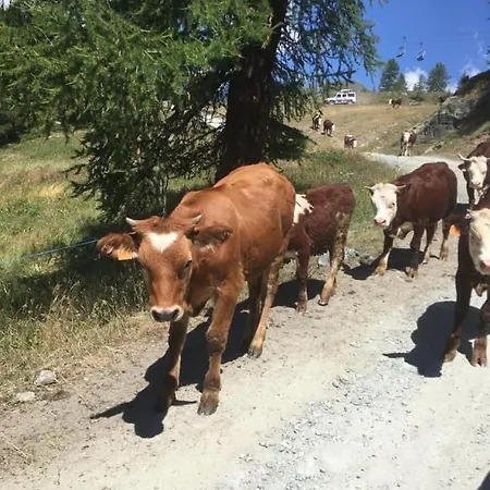 Lägenhet Casa Di Virgi *