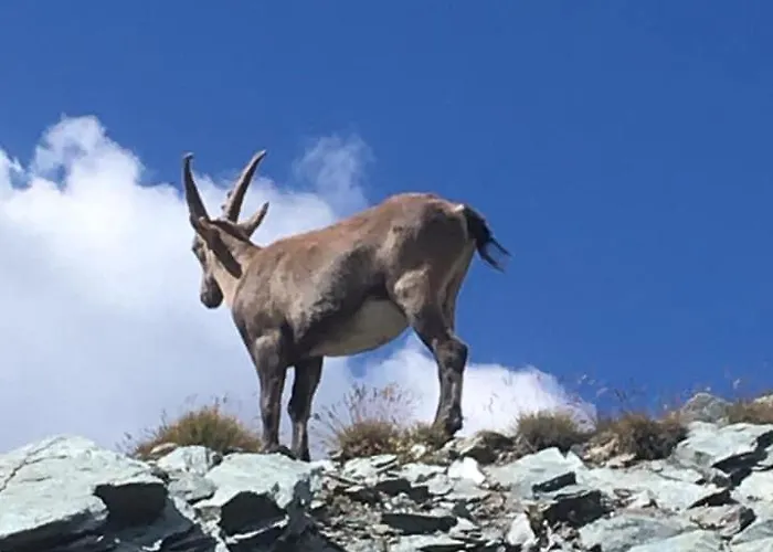 아파트 Casa Di Virgi