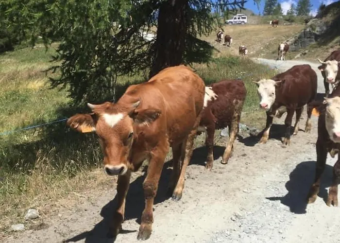 아파트 Casa Di Virgi *